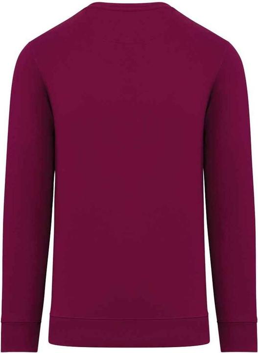Immagine prodotto Native Spirit Felpa Girocollo Adulto Unisex (3XL)