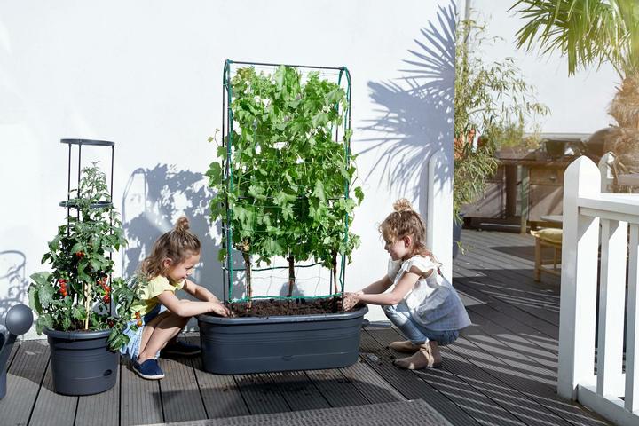 Immagine prodotto Elho Green Basics (78 cm)