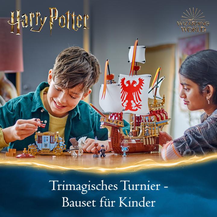 Actual product image LEGO Triwizard Tournament: The Arrival (76440, LEGO Harry Potter, LEGO Rare Sets)