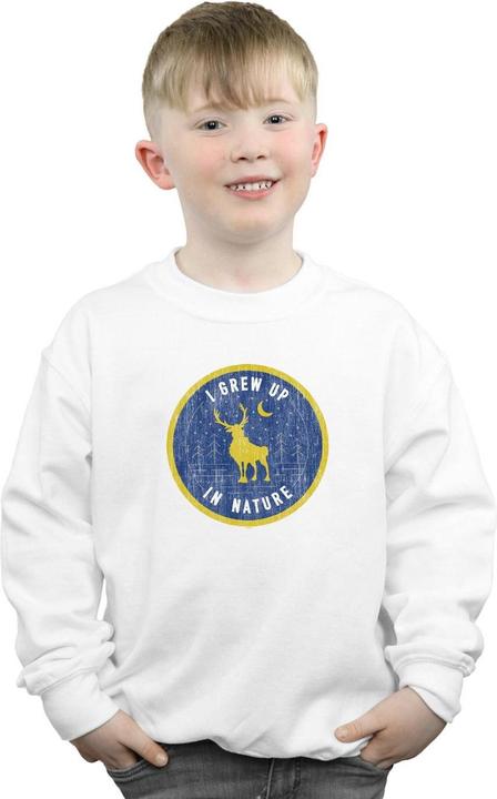 Image du produit Disney - Sweat FROZEN SVEN GREW UP IN NATURE - Garçon (140, 146)