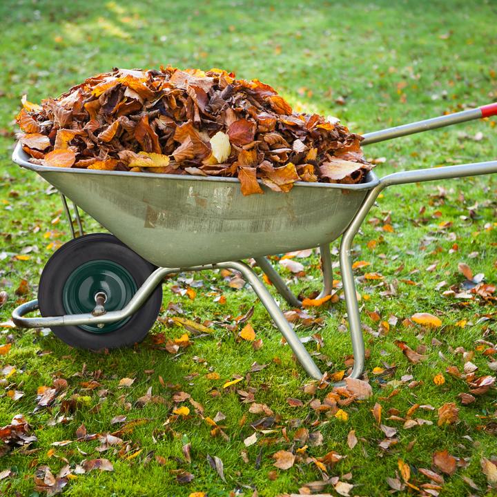 Image du produit Relaxdays Roue de brouette, en caoutchouc