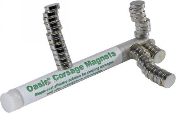 Image du produit Oasis Aimants de corsage, 1 cm Ø