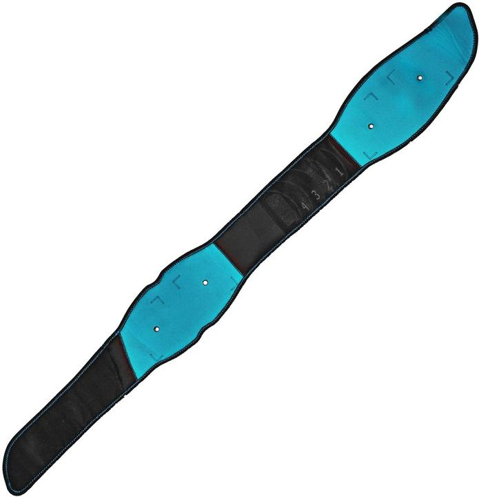 Actual product image Compex CoreBelt 5.0 LXL