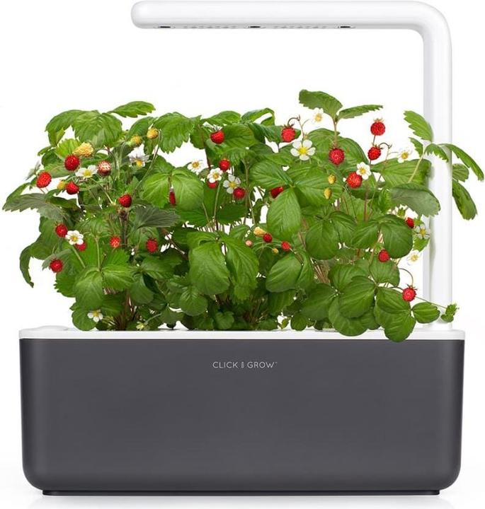 Produktbild Click and Grow Smart Garden (31.50 cm)