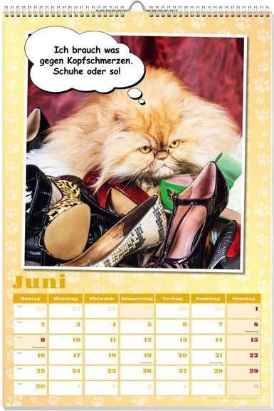 Image du produit Calendrier poster chats cools 2025 (Non contraignant, Allemand)