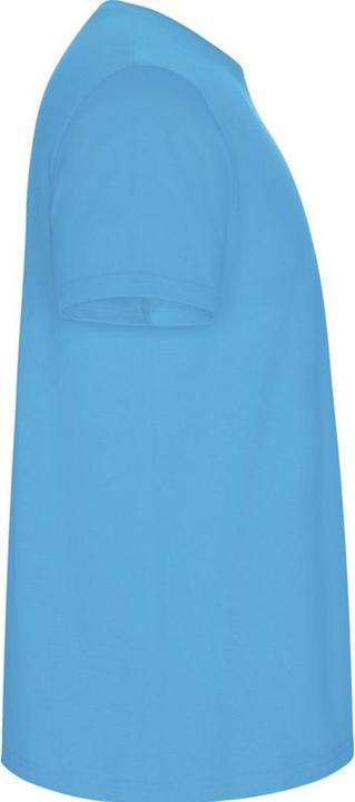 Actual product image Alpinia Mens Stafford T-Shirt (M)