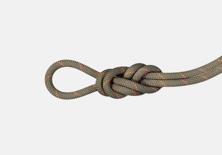 Produktbild Mammut 9.9 Gym Workhorse Classic Kletterseil (40 m)