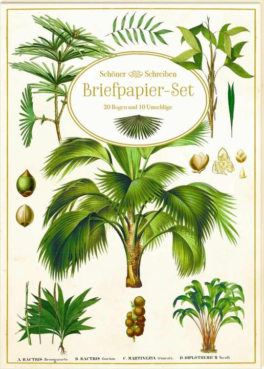 Produktbild Briefpapier-Set - Sammlung Augustina (20 Stk.)