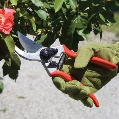 Actual product image Felco 2