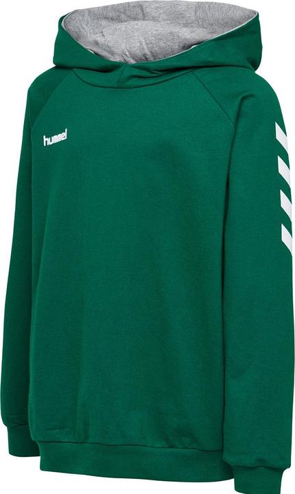 Image du produit hummel Go Kids Hoodie En Coton (116)