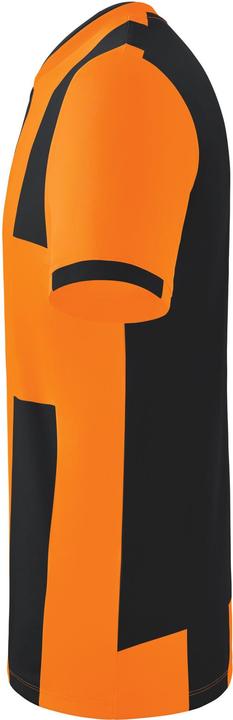 Image du produit Erima Maillot Siena 3.0 (128)