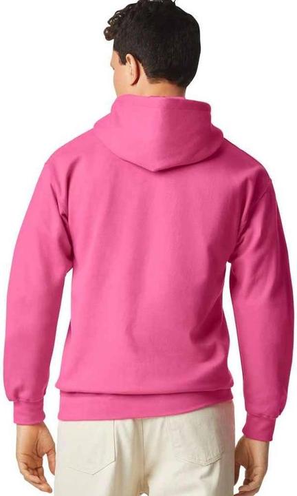 Image du produit Gildan - Sweat à capuche SOFTSTYLE - Adulte (4XL)