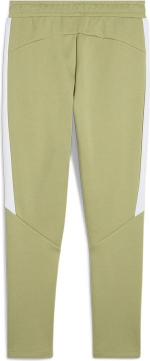 Image du produit Puma teamEVOSTRIPE Pants (L)