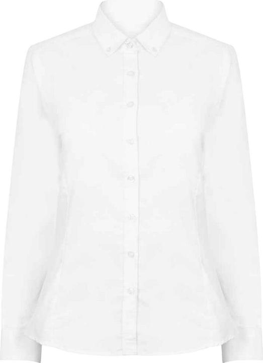 Actual product image Henbury Womens/Ladies Modern Long Sleeve Oxford Shirt (M)