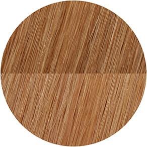 Showpony - 20" 7 Piece Clip In Boxset- Cool Soft Blonde Ombre (Cool Soft Blonde Ombre)