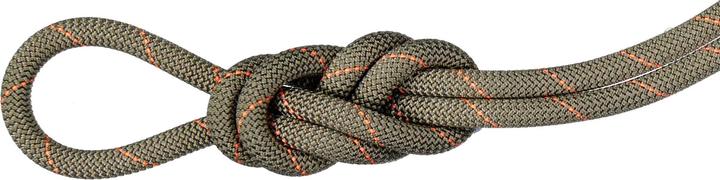 Produktbild Mammut 9.9 Gym Workhorse Classic Kletterseil (40 m)