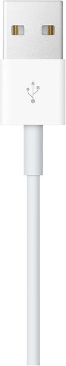 Image du produit Apple Câble de chargement de la montre 1 m