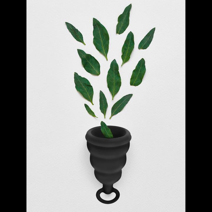 Image du produit Gvibe Gcup Mystic Noir (S)