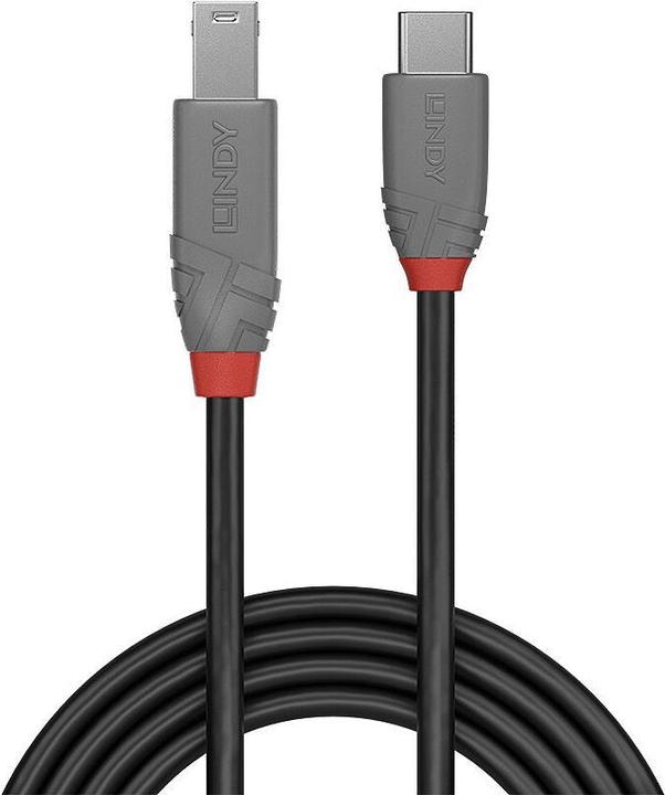 Image du produit Lindy Câble USB 3.2 type C vers B, Anthra Line (3 m, USB 3.2 Gen 1)