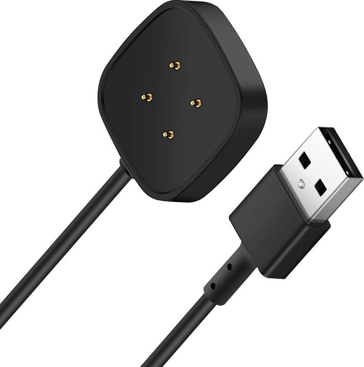 Actual product image Avizar SEC-FBV4 Charger