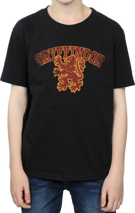 Actual product image Boys Gryffindor Sport Emblem T-Shirt (152, 158)