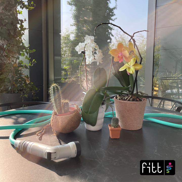 Actual product image FITT Ikon (15 m, 13 mm)