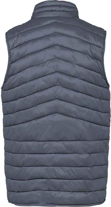 Actual product image Native Spirit Mens Light Recycled Body Warmer (L)