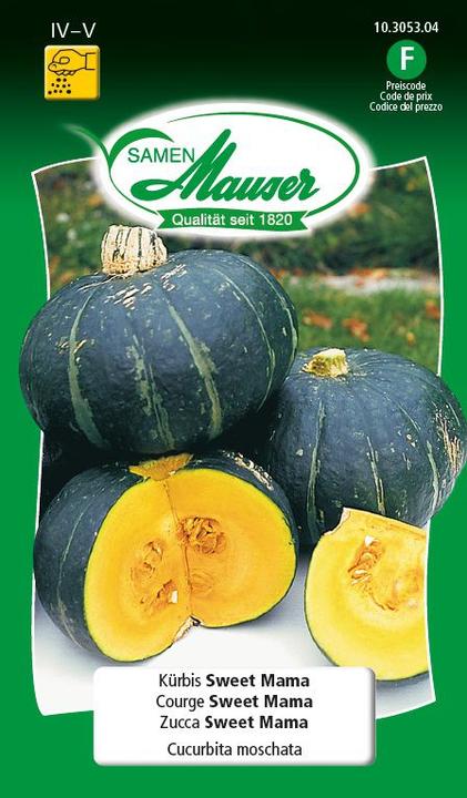 Citrouille Sweet Mama F1 (Graines de légumes)