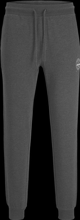 Image du produit Jack & Jones Gordon Sweathose (L)