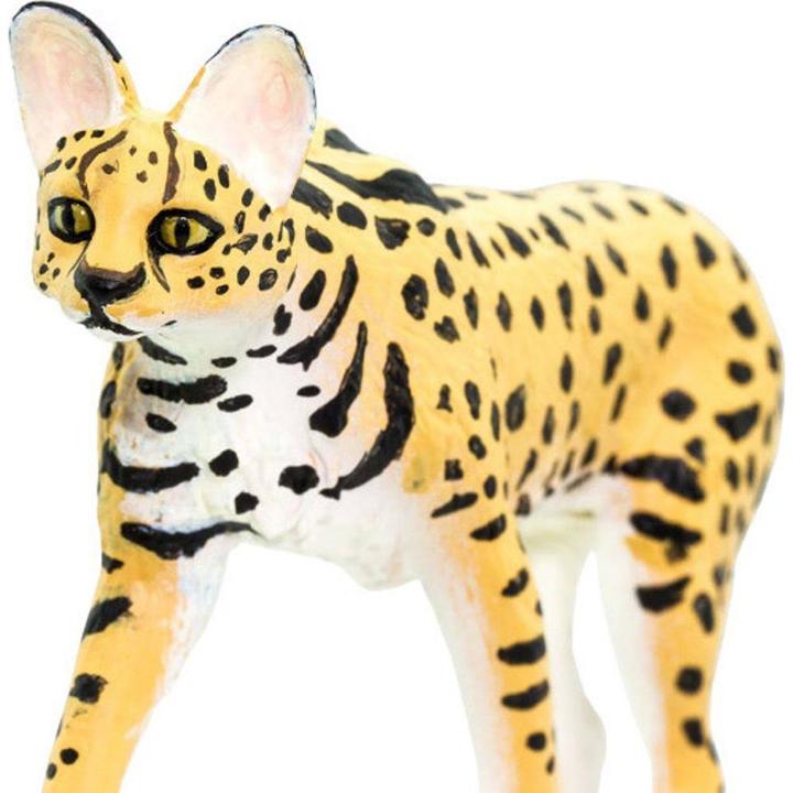 Image du produit Safari Serval