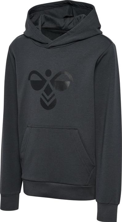 Actual product image hummel hmlCUATRO HOODIE (128)