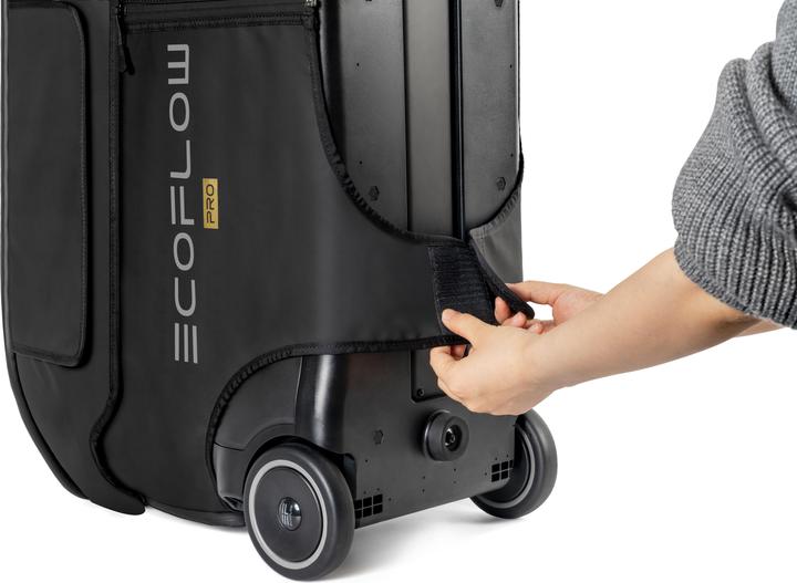 Actual product image EcoFlow Delta Pro Bag