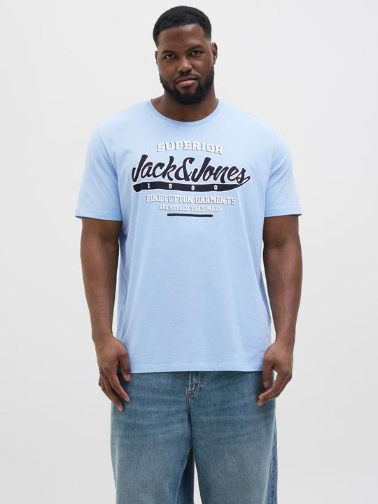 Actual product image Jack & Jones Jjelogo Tee Ss O-Neck 2 Col Aw24 S Pls (5XL)