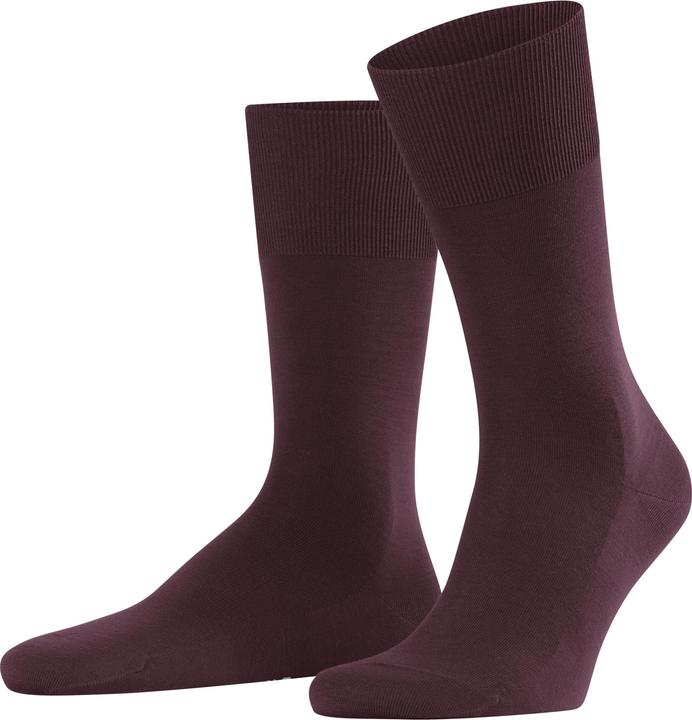 Falke Clima Wool