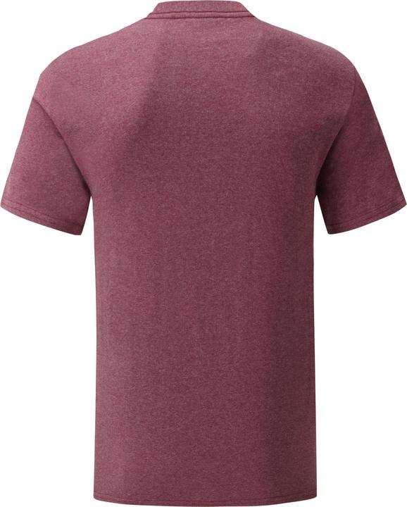 Image du produit Fruit of the Loom - T-shirt ICONIC - Homme (3XL)