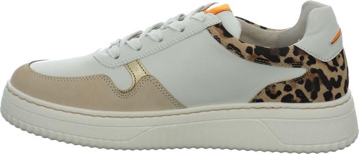 Actual product image Gabor 66-408 (35.5)