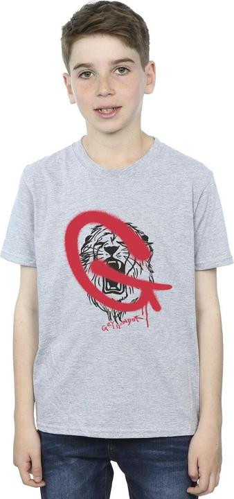 Actual product image Boys Gryffindor Pop Spray T-Shirt (152, 158)