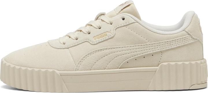 Puma Carina 3.0 SD (42.5)
