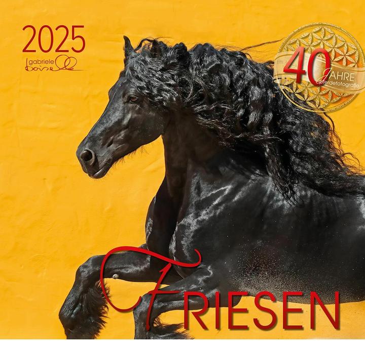 Actual product image Friesen 2025, with 1 supplement (German, English)