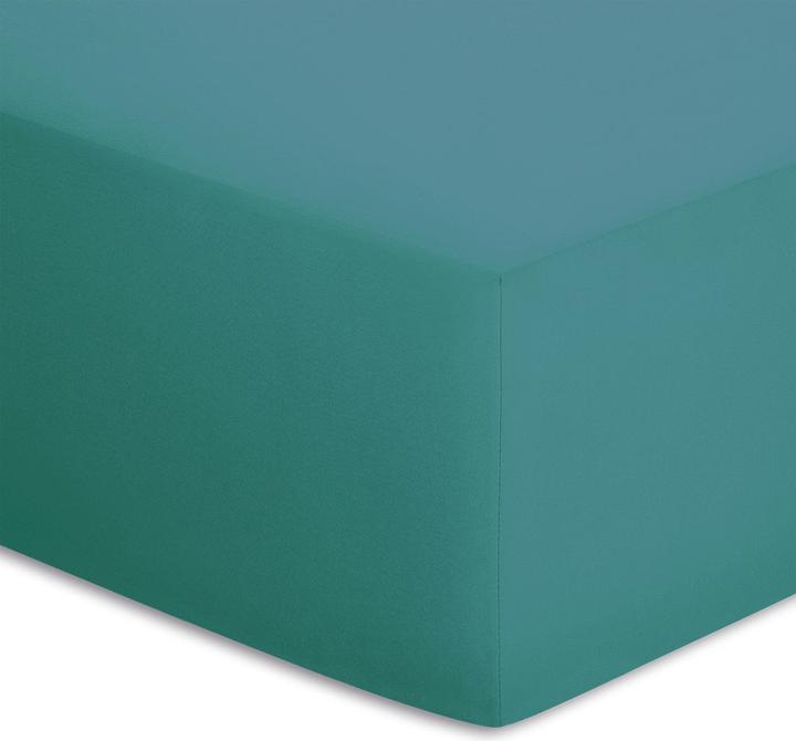 Actual product image Bassetti Jersey spandex fitted sheet (140x200 cm, 150x200 cm, 160x200 cm)