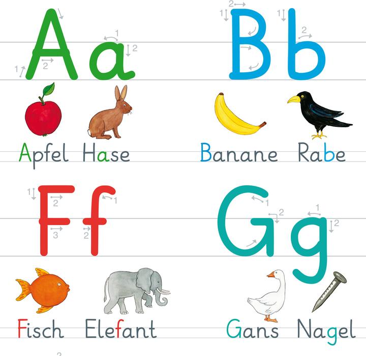 Image du produit Fels:Fragenbär-poster d'apprentissage : Mon grand (Allemand)