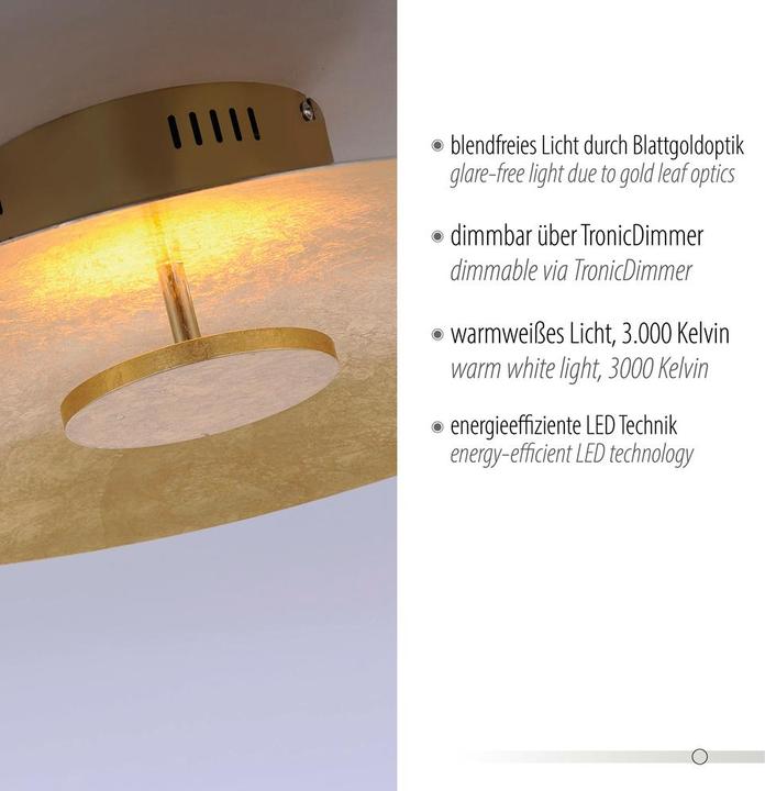 Produktbild Paul Neuhaus Platte (2875 lm)