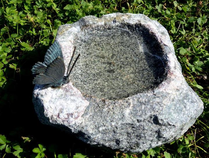 Produktbild Neogard Vogeltränke