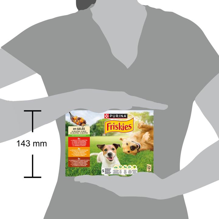 Image du produit Friskies En gelée (Adulte, 12 pcs, 1160 g)