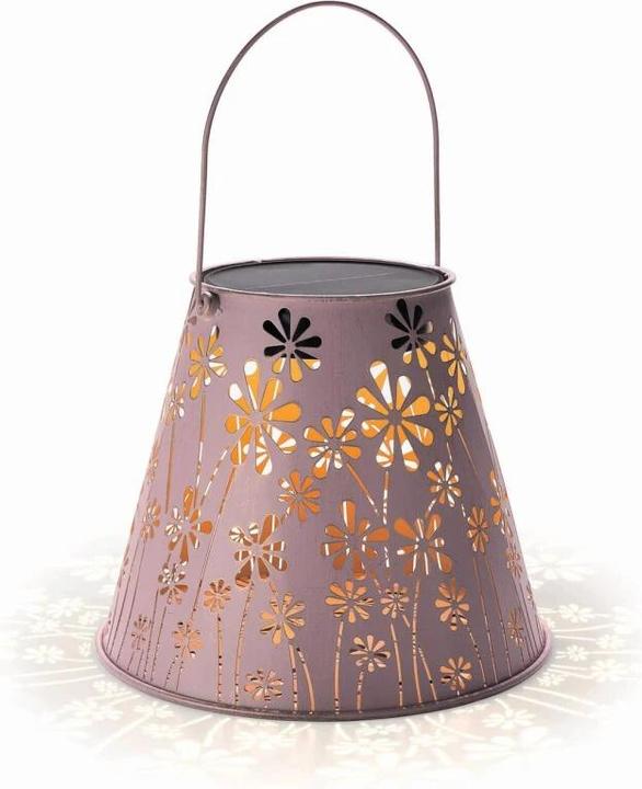 Image du produit STT Daisy