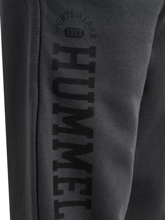 Image du produit hummel hmlALVIN PANTS (146)
