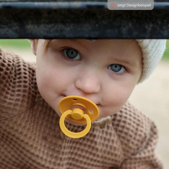 Actual product image Bibs Pacifier, pack of 2 0-6 months (2 x, up to 6 M.)