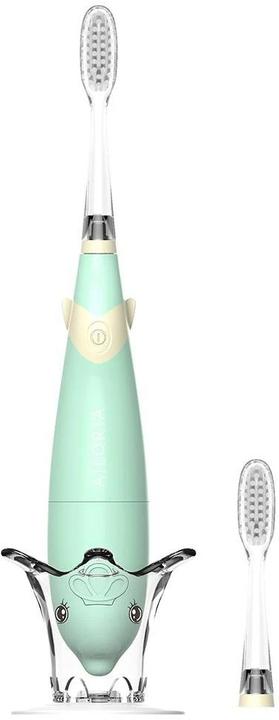 Actual product image Ailoria bubble brush (Sonic toothbrush)