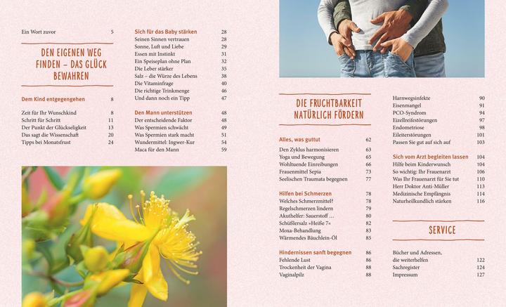 Produktbild Kinderwunsch (Deutsch, Birgit Zart, 2015)