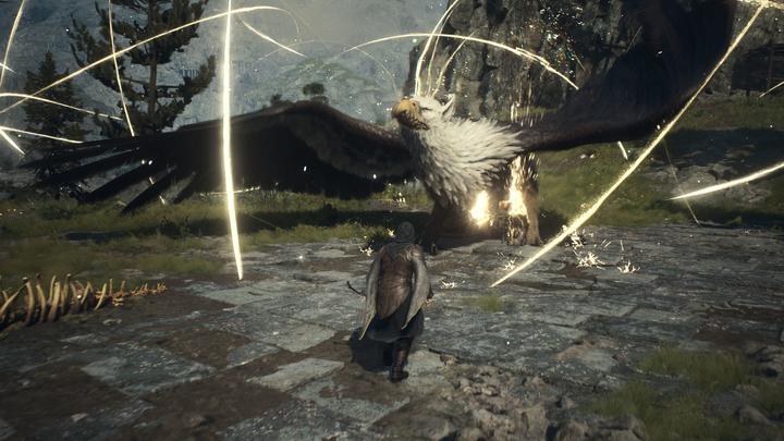 Immagine prodotto Microsoft Dragons Dogma 2 (Xbox Serie S, Xbox Series X)